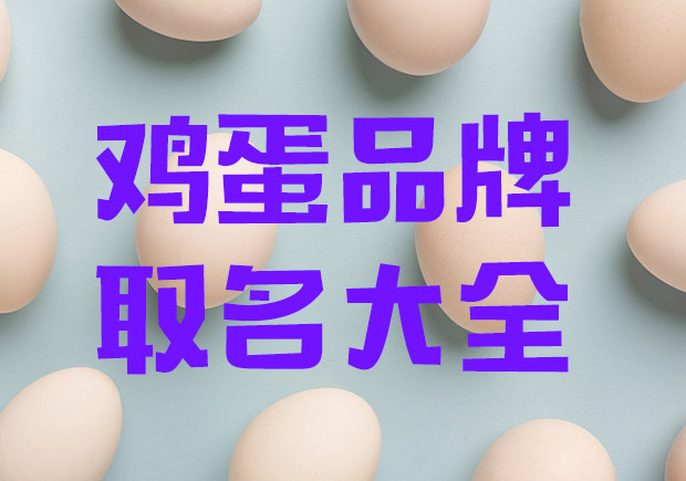 鸡蛋品牌取名字大全集-给鸡蛋取个有创意的名字