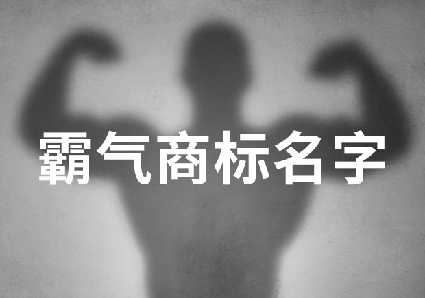 霸气商标名字大全-霸气品牌起名技巧-命名者