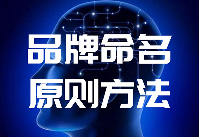 品牌价值命名规则.jpg