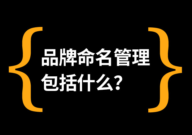 品牌命名管理包括什么内容-namers命名者