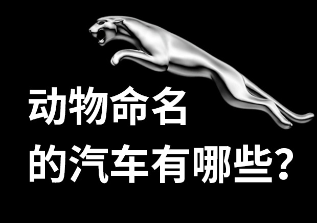 以动物命名的汽车有哪些-产品命名-命名者