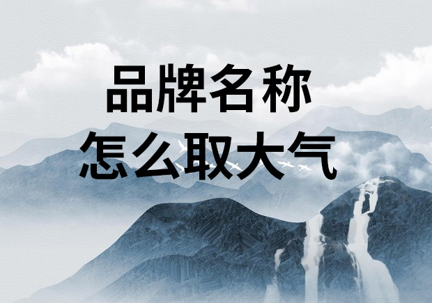 品牌名称怎么取大气-命名者 NAMERS 品牌名称怎么取大气-命名者 NAMERS