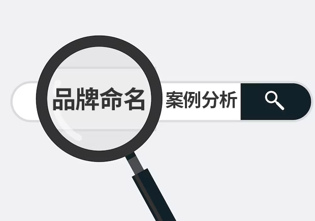 品牌命名案例分享与分析-中外成功品牌命名100例-中国商业起名实战派-Namers命名者