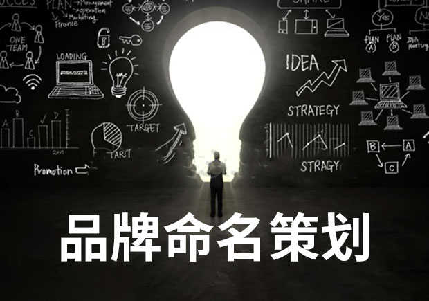 品牌命名策划-创造与魅力并存的独特品牌名-命名者