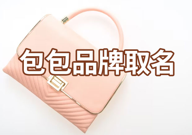 创造品牌魅力：包包品牌取名的艺术与策略