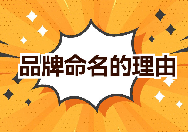 品牌命名的理由与品牌命名设计案例解析