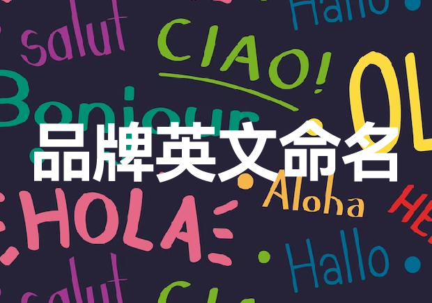 传递独特商业形象-品牌英文命名的创新策略与方法-命名者