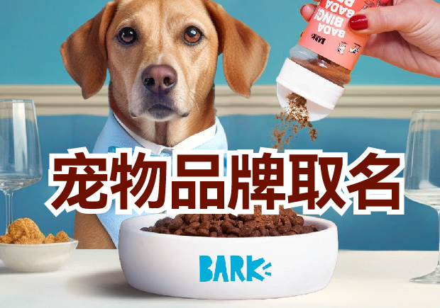 宠物品牌名称怎么取-创新与个性的结合