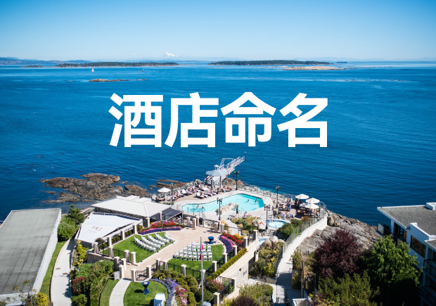 融汇文化与体验：酒店品牌命名的独特原则与实践 -命名者