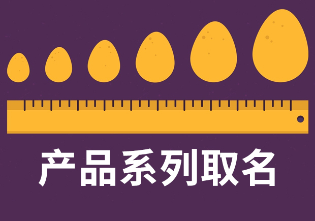 产品系列取名大全集-不同档次产品系列命名的逻辑与方法-命名者