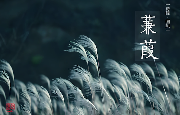 诗经产品命名案例分析 诗经产品命名案例分析