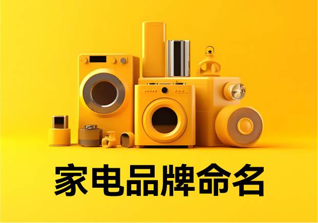 家电品牌命名-剖析规则-价值-趋势与策略塑造强势品牌与产品-命名者 家电品牌命名-剖析规则-价值-趋势与策略塑造强势品牌与产品-命名者