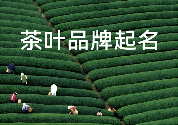 茶叶品牌起名竟藏这么多门道-从符号学深挖商业密码-命名者 茶叶品牌起名竟藏这么多门道-从符号学深挖商业密码-命名者