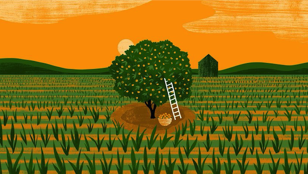 土特产农产品起名专家 土特产农产品起名专家