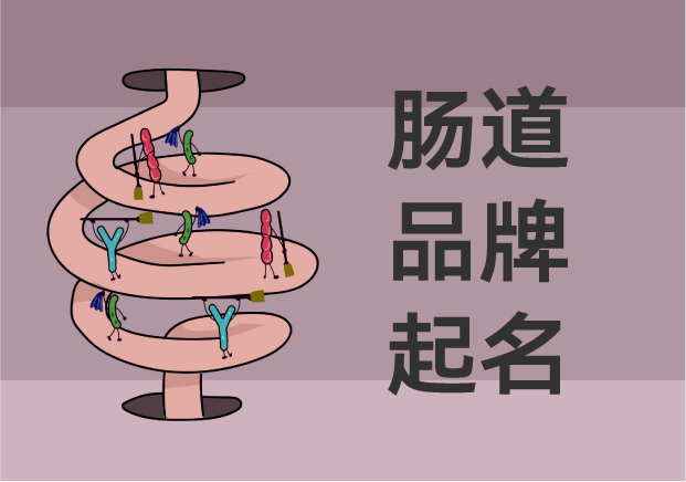 中文肠道品牌起名-功效价值与传统养生叙事精彩相融-命名者NAMERS