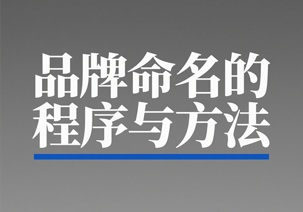 品牌命名的程序与方法-从混沌中生长出的名字-命名者NAMER 品牌命名的程序与方法-从混沌中生长出的名字-命名者NAMER