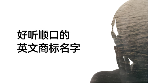 好听顺口的英文商标名字：品牌传播的第一声共鸣