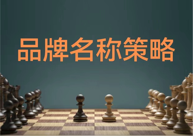 品牌名称策略-在名字中安放品牌的灵魂-命名者NAMERS,