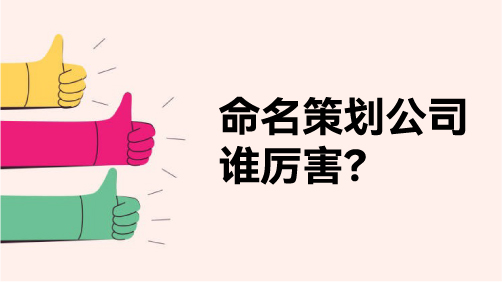 取品牌名字很厉害的策划公司，为什么选 NAMERS