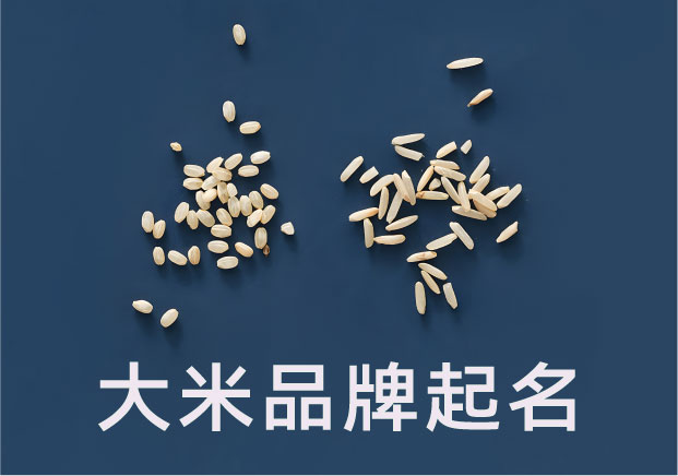 大米品牌起名创意-在一粒粮食里-找到品牌的语言-命名者 大米品牌起名创意-在一粒粮食里-找到品牌的语言-命名者