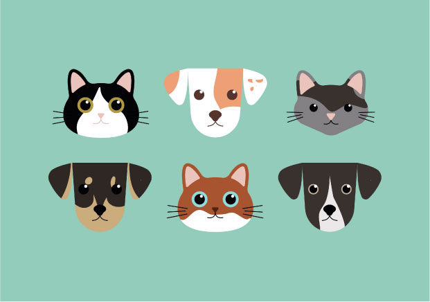 宠物品牌起名-如何打造一个真正有毛有肉的品牌名-命名者